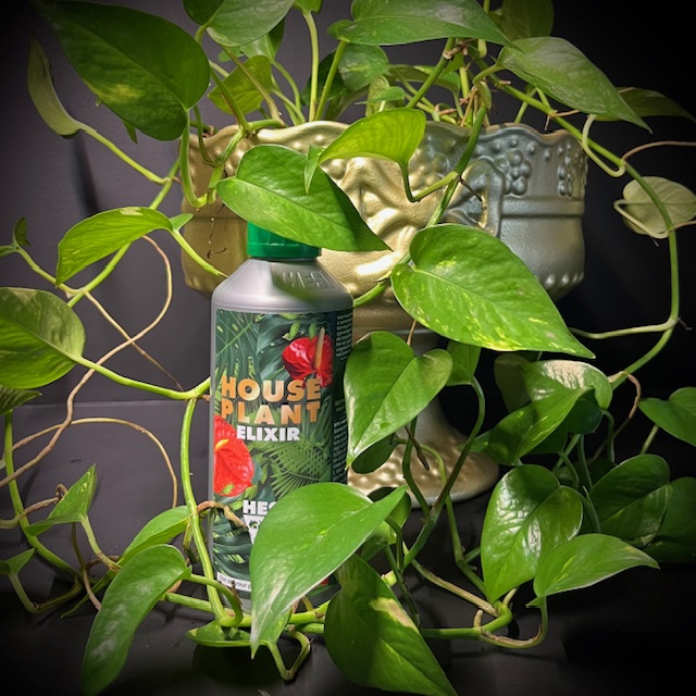 Plantenvoeding