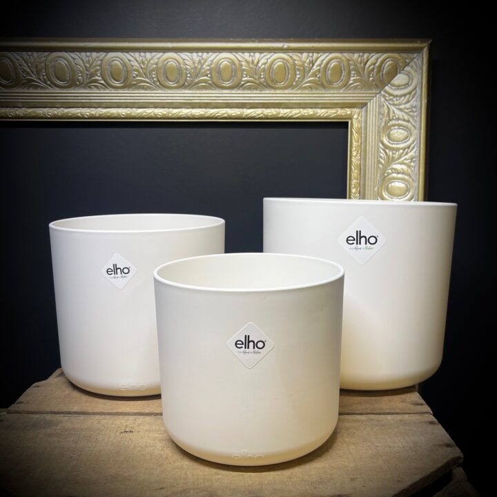 Elho B.for Soft