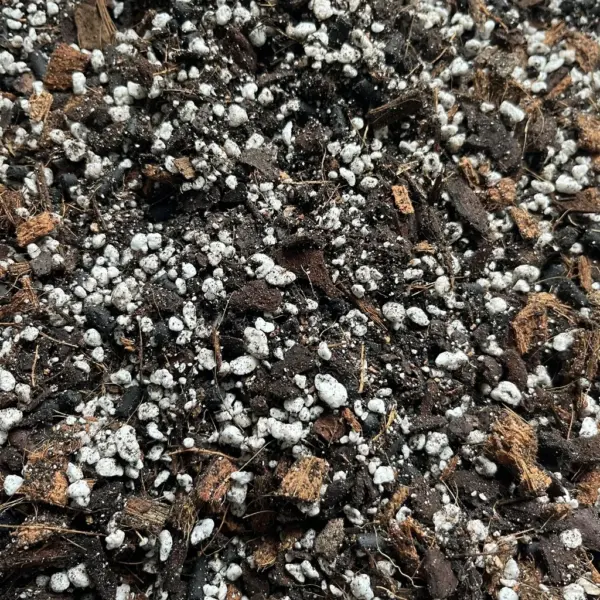 Planten-mix