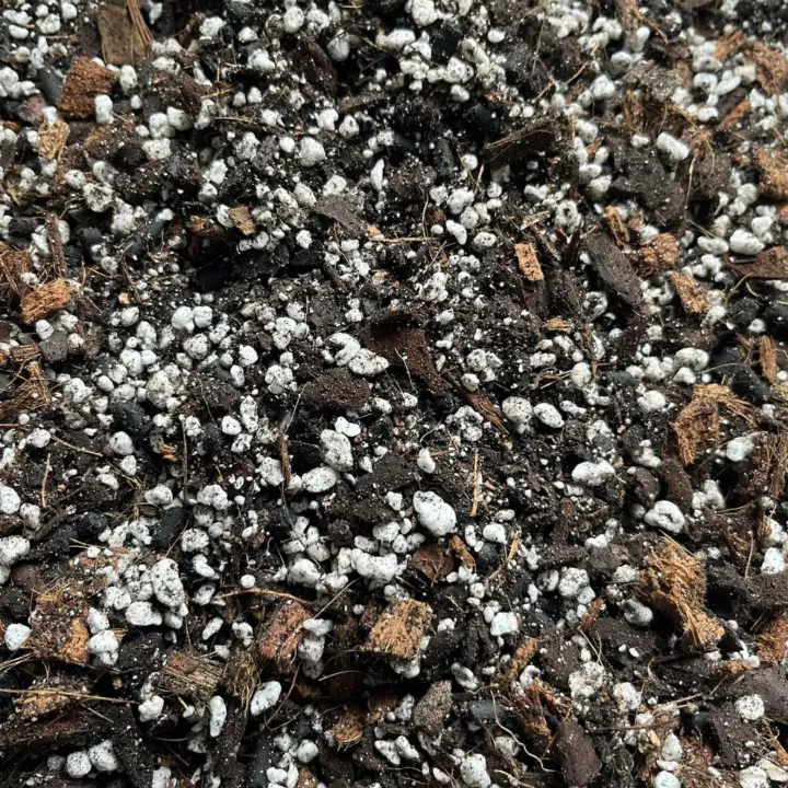 Planten-mix