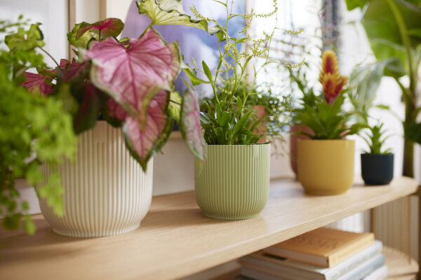 Elho Vibes Fold - Sorbet Groen - Afbeelding 2