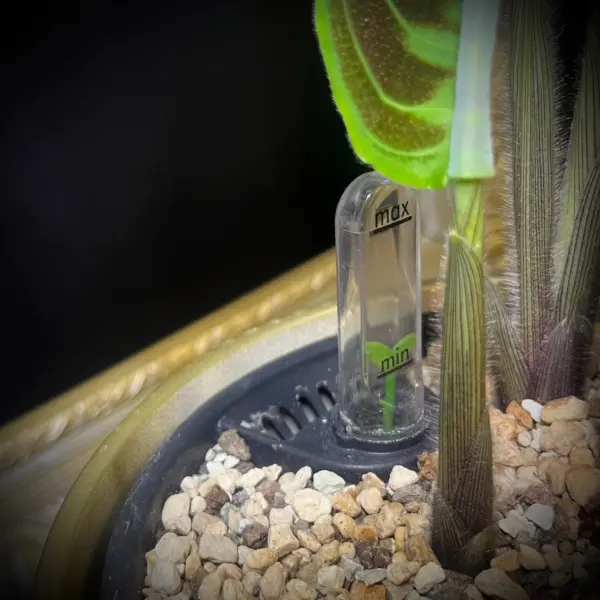 Elho-Self-Watering-1