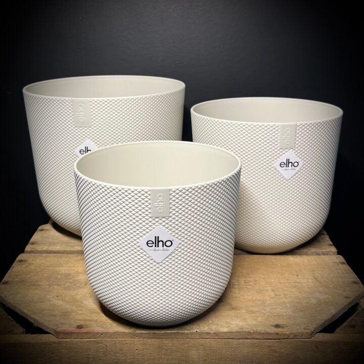 Elho-Jazz-rond-zijdewit