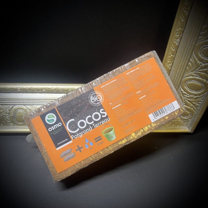 Osmo Cocos Brick