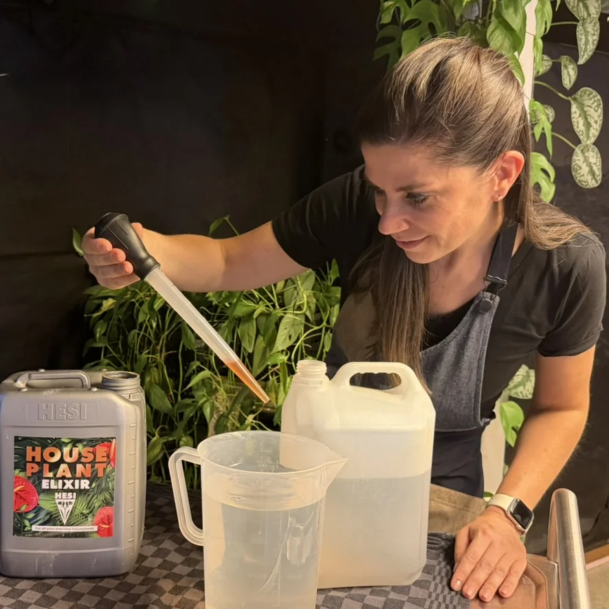 Annelies doseert Hesi Houseplant Elixir met een pipet in de kwekerij