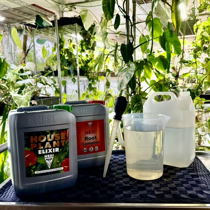 De gietroutine van Special Houseplants: Hesi voeding, maatbeker en bus regenwater in de kweektent