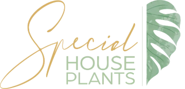 Special Houseplants logo